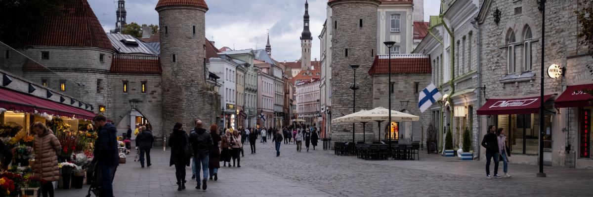 Serwis Estonsko - Terciární vzdělávání: bakalářské, magisterské a doktorandské studium, v.CS, study